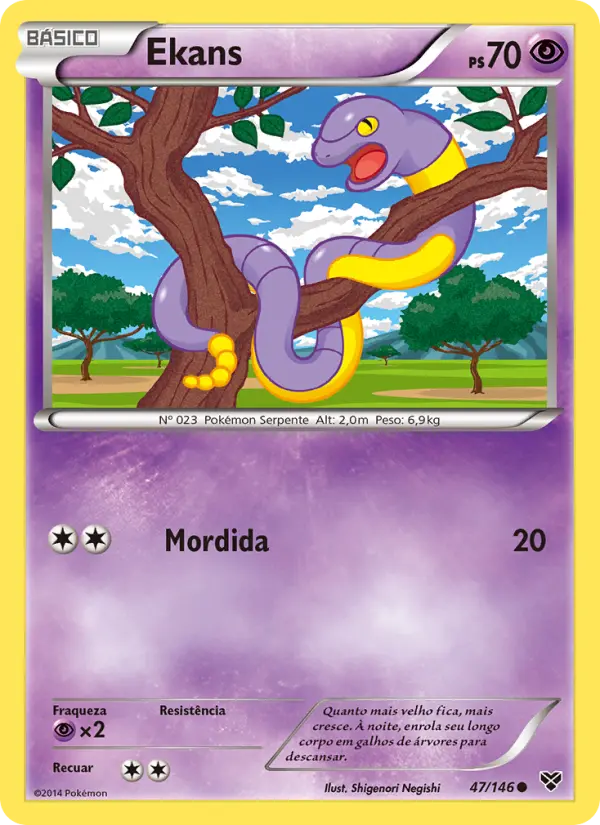 Carta 47