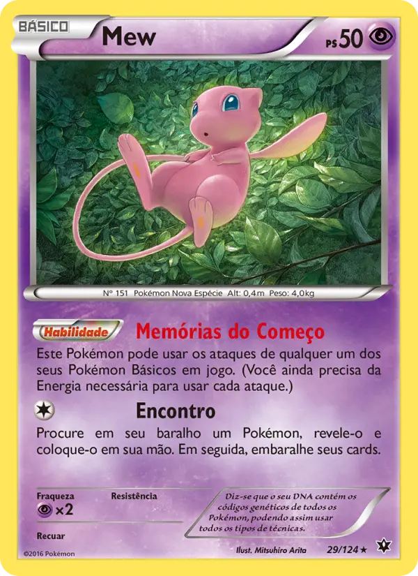 Carta 29