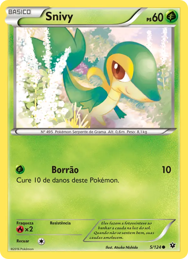 Carta 5