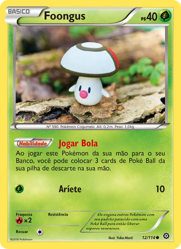 Carta 12