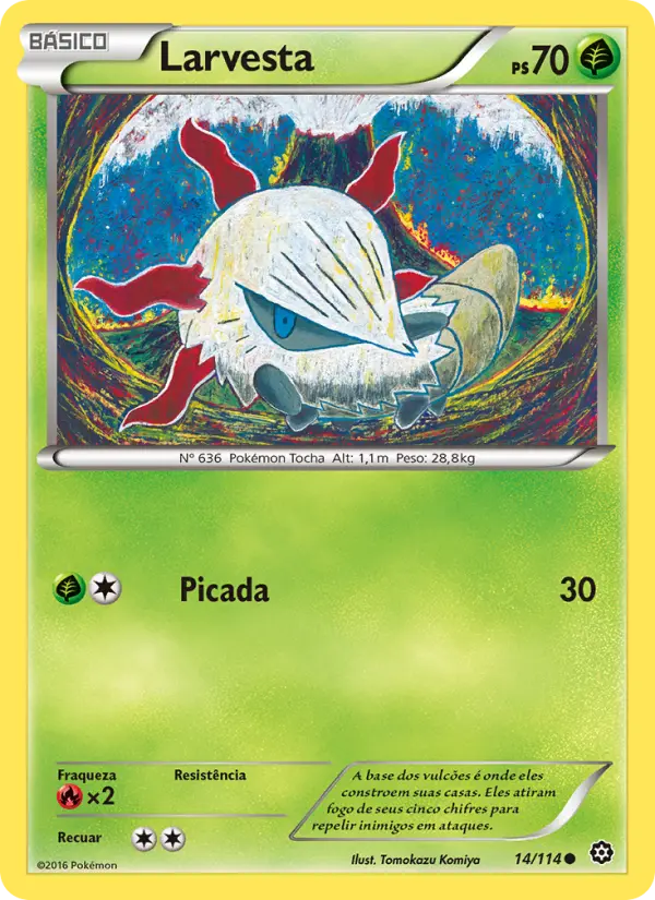 Carta 14
