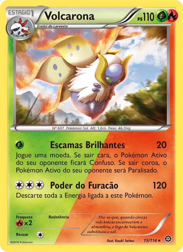 Carta 15