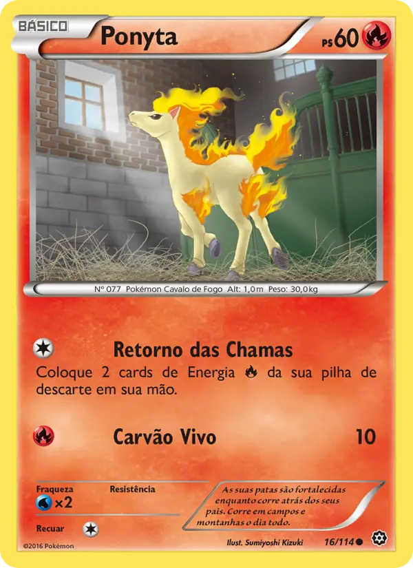Carta 16