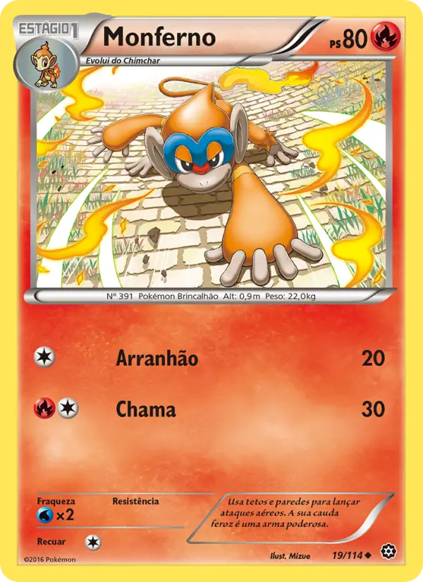 Carta 19