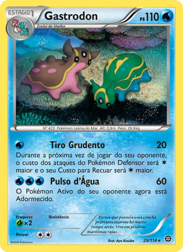 Carta 29