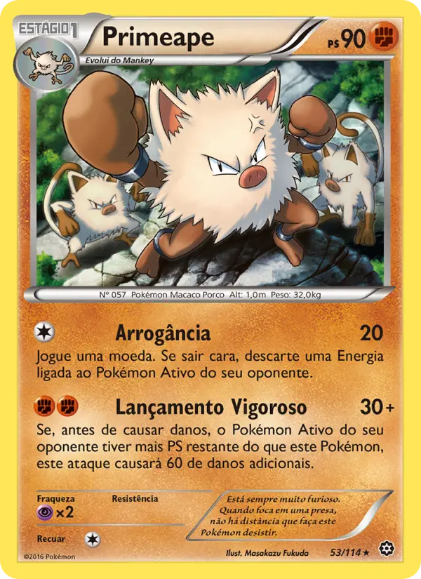 Carta 53