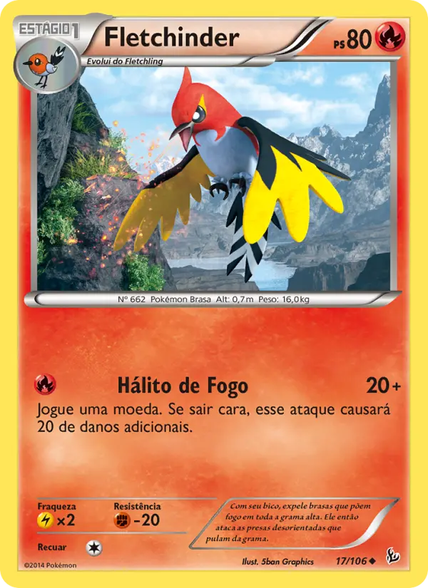 Carta 17