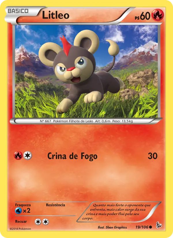 Carta 19