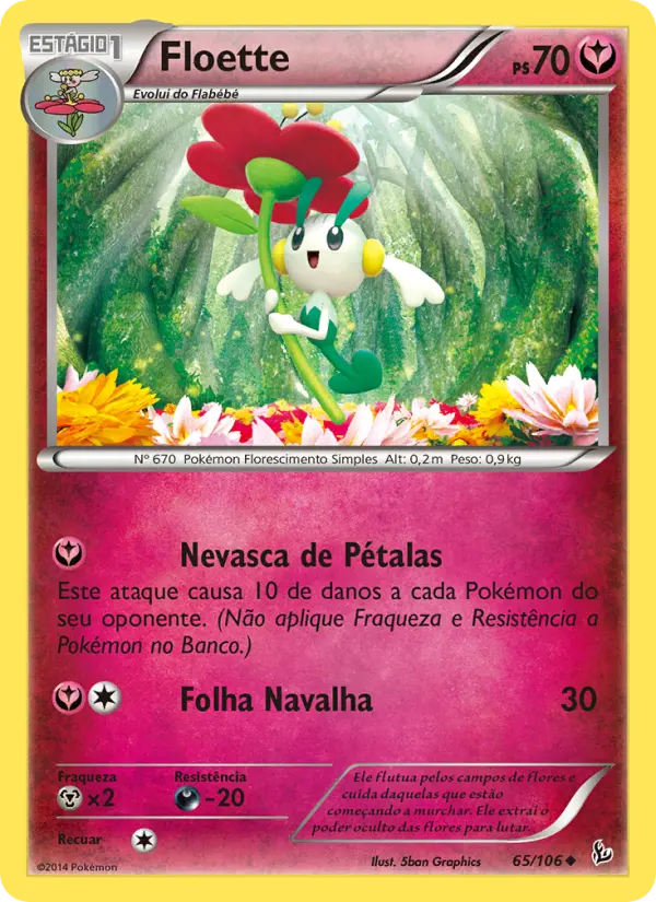 Carta 65