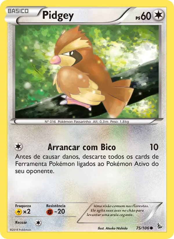 Carta 75
