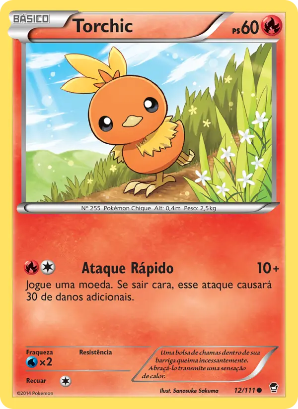 Carta 12