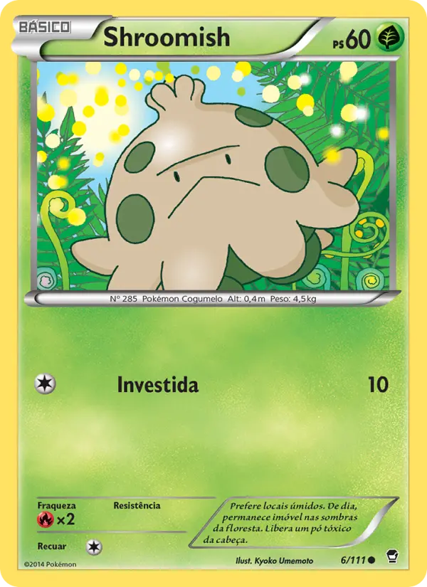 Carta 6