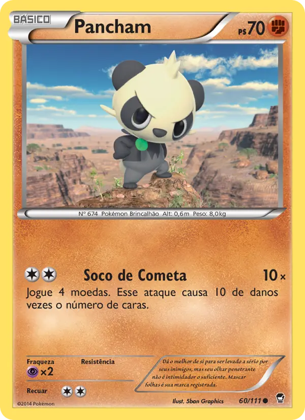 Carta 60