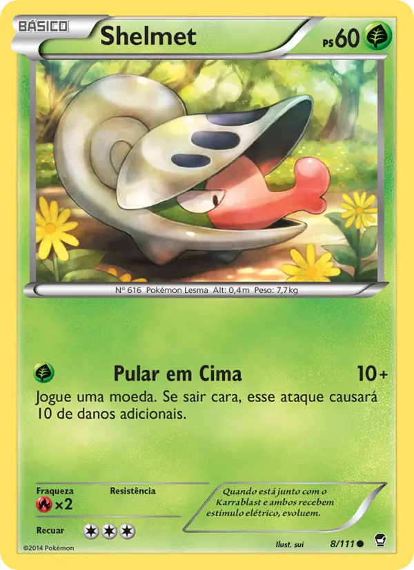 Carta 8