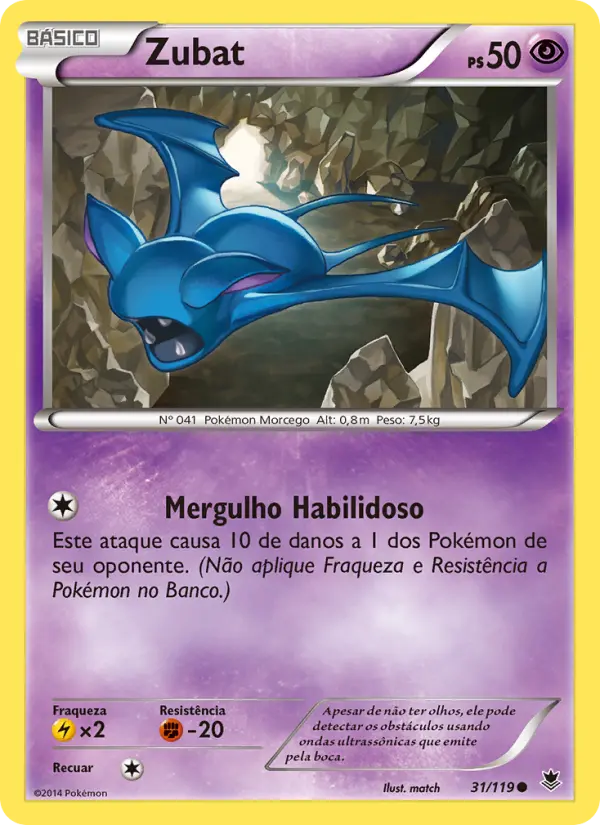 Carta 31