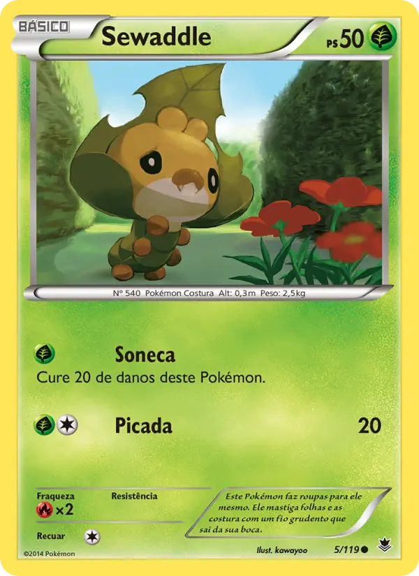 Carta 5
