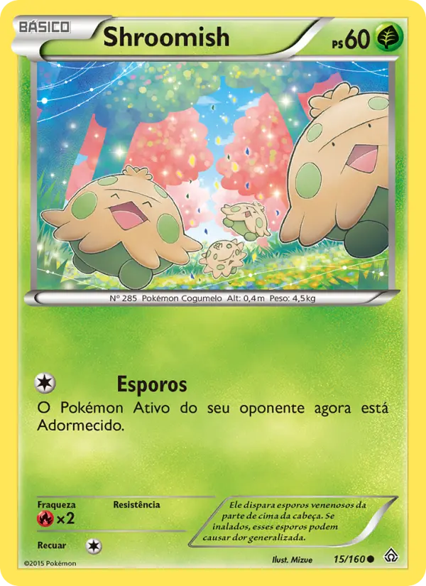 Carta 15