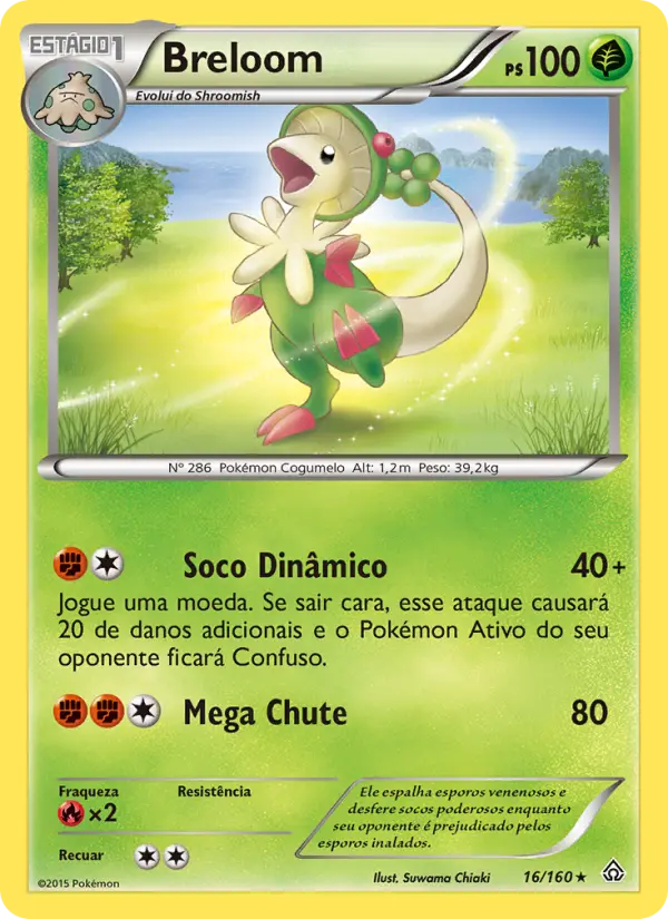 Carta 16