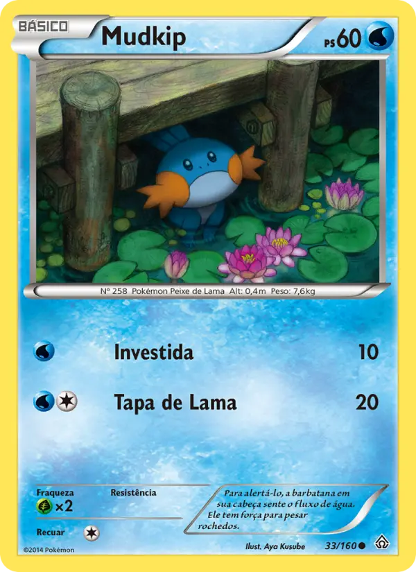 Carta 33