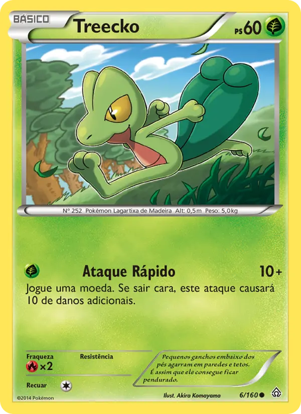 Carta 6