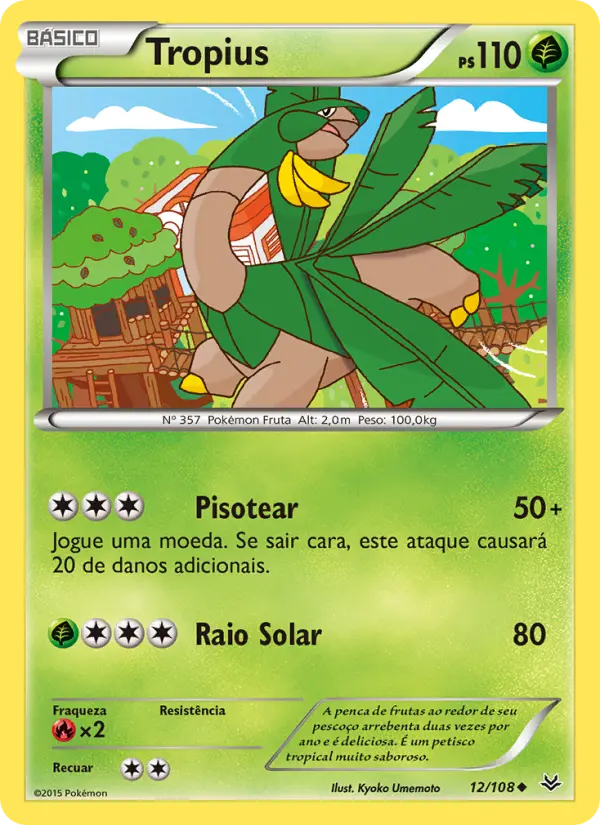Carta 12