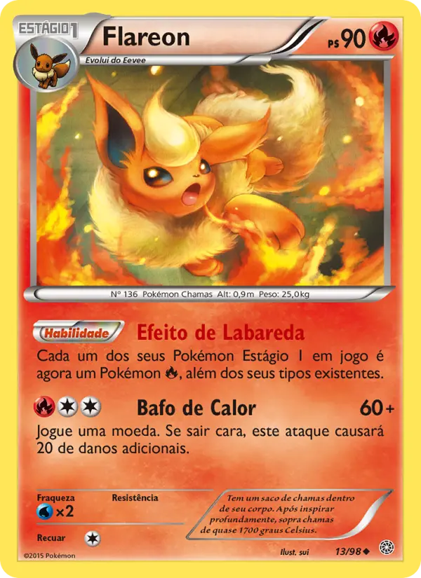 Carta 13