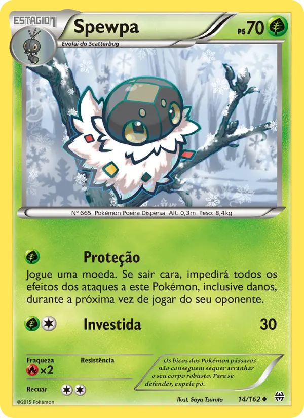 Carta 14