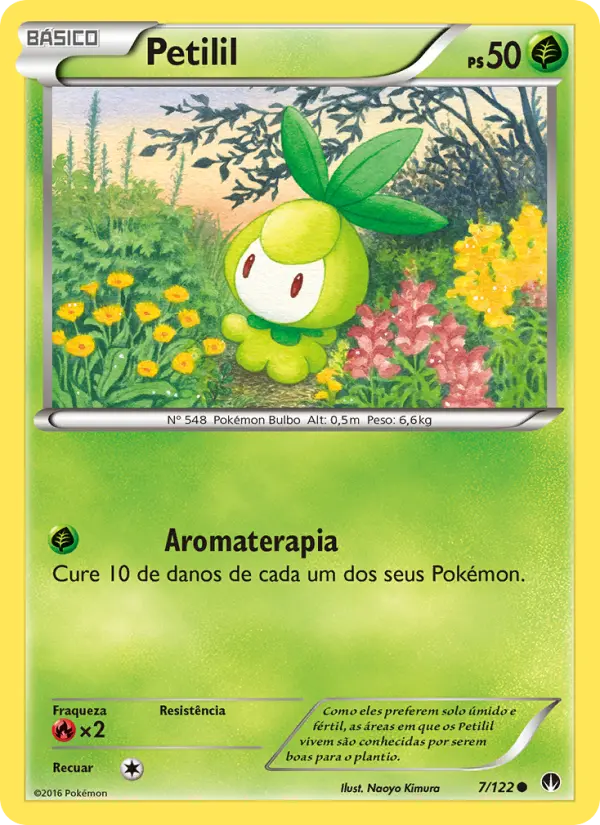Carta 7