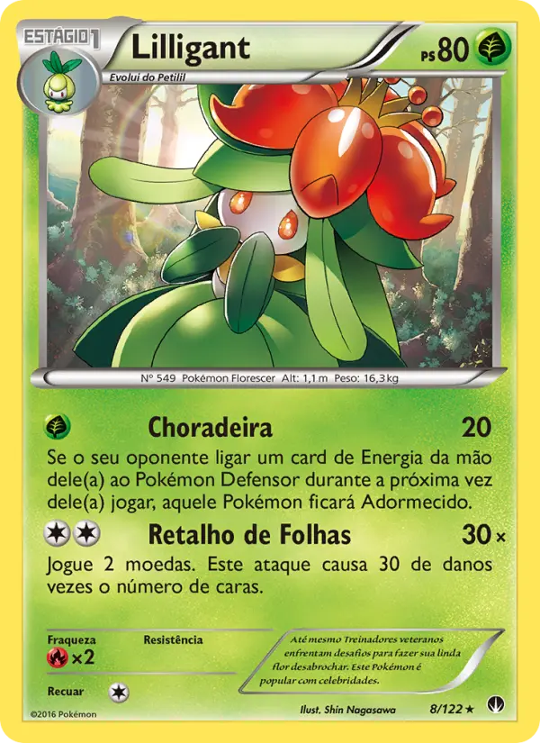 Carta 8