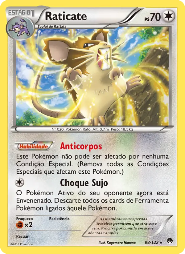 Carta 88